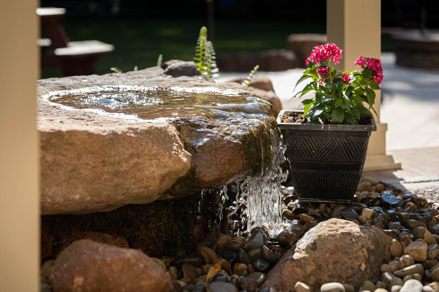 Authentic web-6684-Web 1400-2