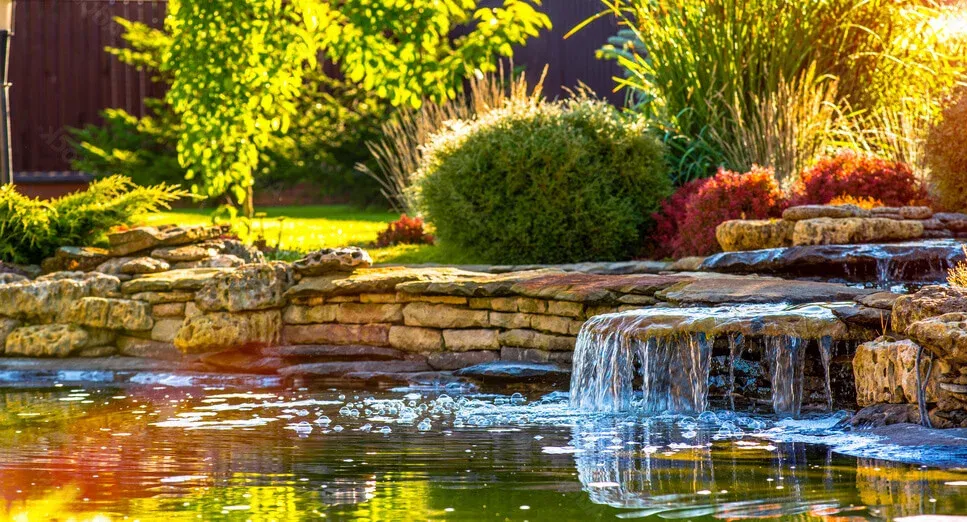 Rock-lined water feature surrounded by planting